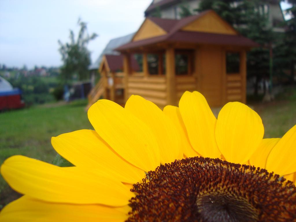 Apartamenty I Pokoje Pod Limbami - Sauna, Teznia Tatranská Bukovina Exteriér fotografie